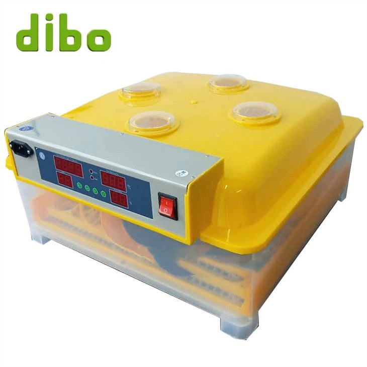 Mini kichik inkubator
