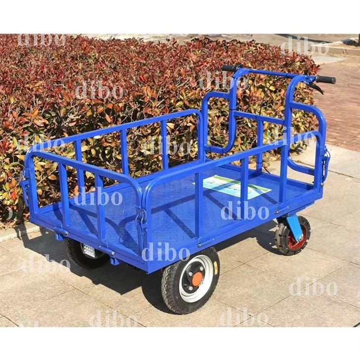 Electric Cart